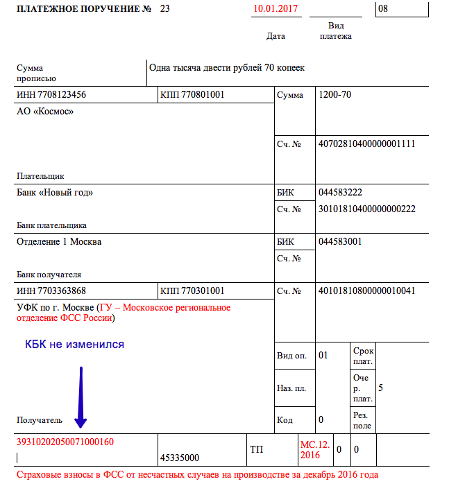 Образец платежного поручения в 2023 году заполнения по несчастным случаям